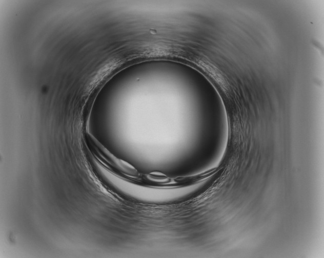 X0000095130485200712071311