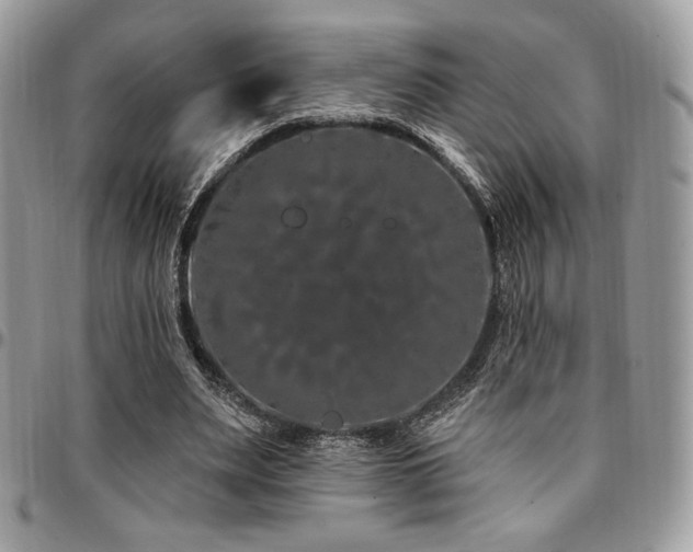 X0000095130487200712071311