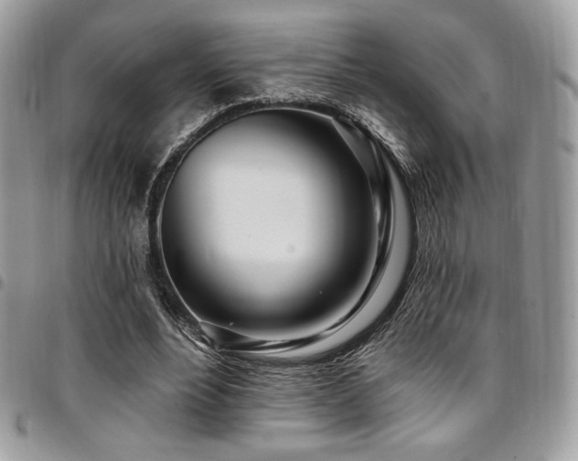 X0000095130488200712071311