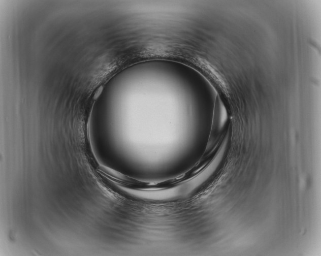 X0000095130489200712071311