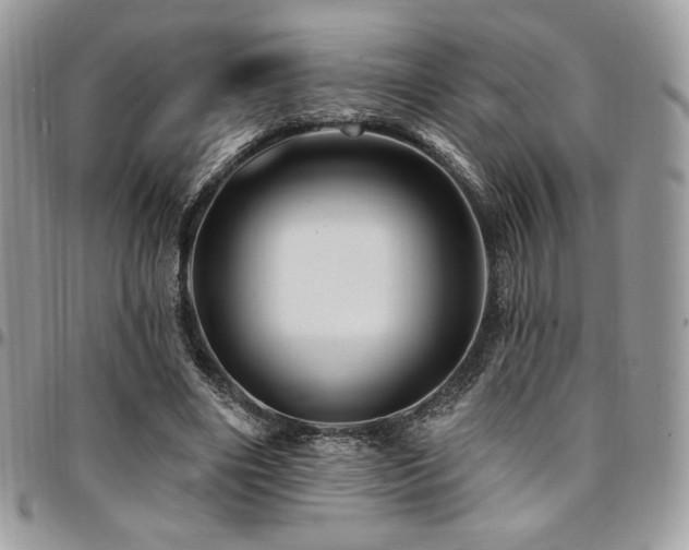 X0000095130490200712071311