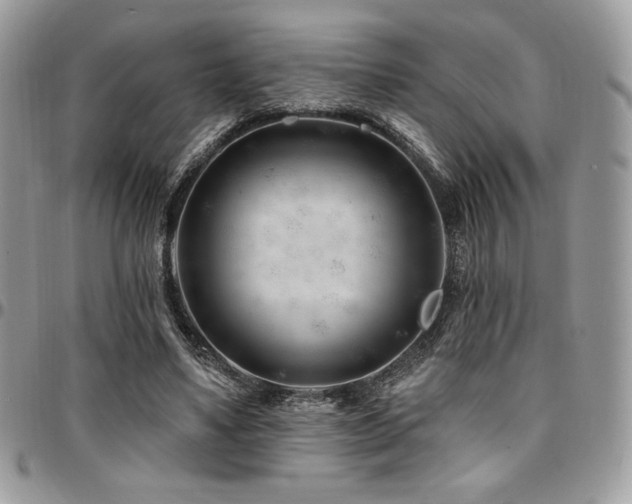 X0000095130491200712071311