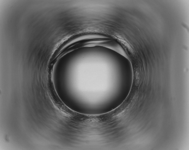 X0000095130492200712071311