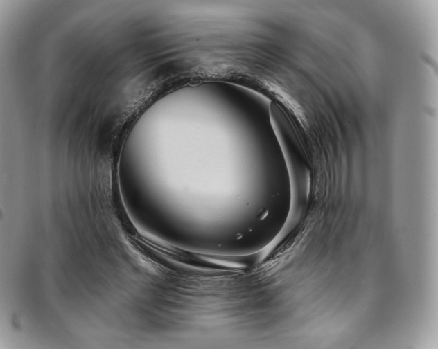 X0000095130493200712071311