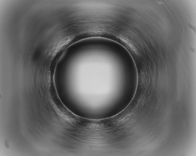 X0000095130494200712071311