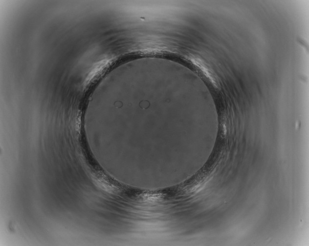 X0000095130495200712071311