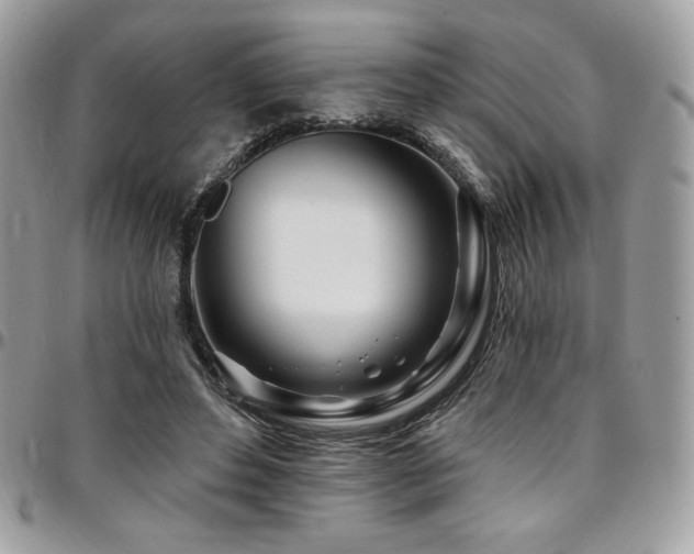 X0000095130496200712071311