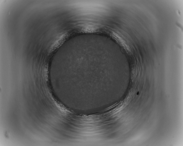 X0000095130497200712071311