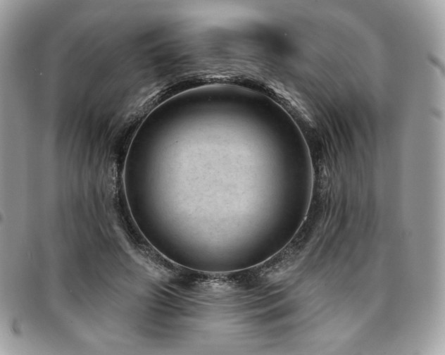 X0000095130498200712071311