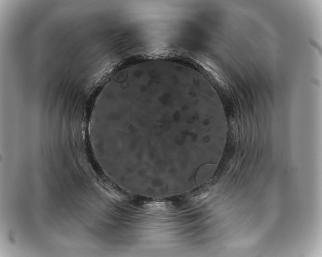 X0000095130499200712071311