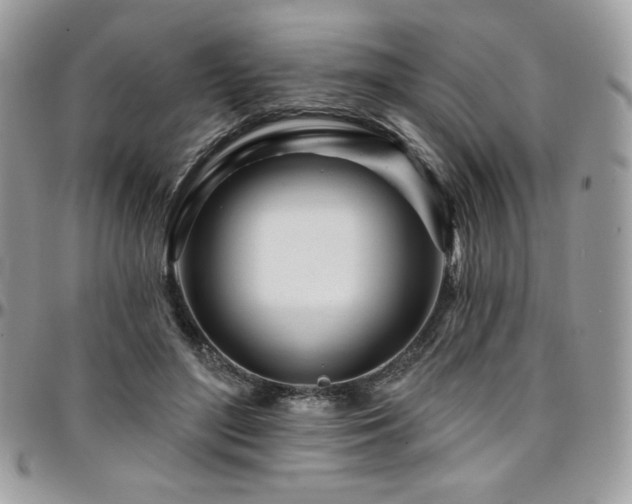 X0000095130500200712071311