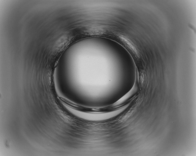 X0000095130501200712071311