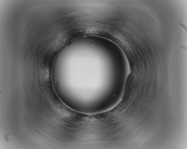 X0000095130502200712071311