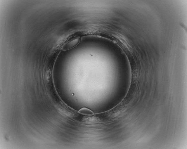 X0000095130503200712071311