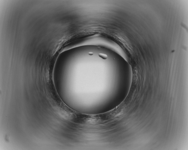 X0000095130504200712071311