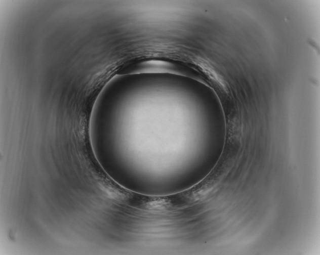 X0000095130505200712071311