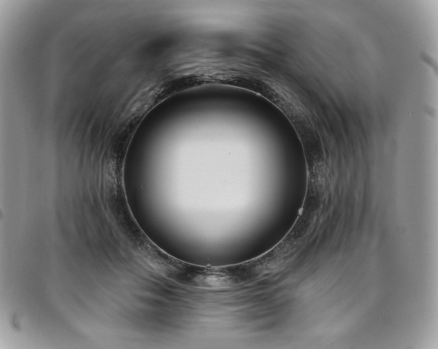 X0000095130506200712071311