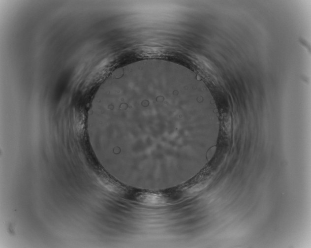 X0000095130507200712071311