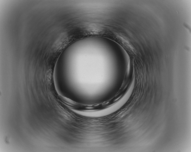 X0000095130509200712071311