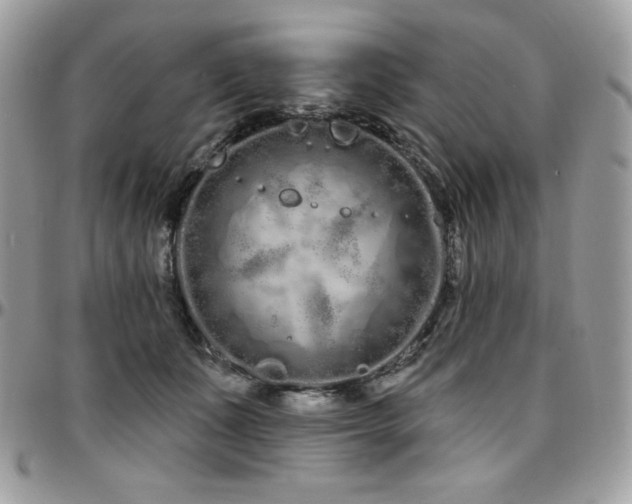 X0000095130511200712071311