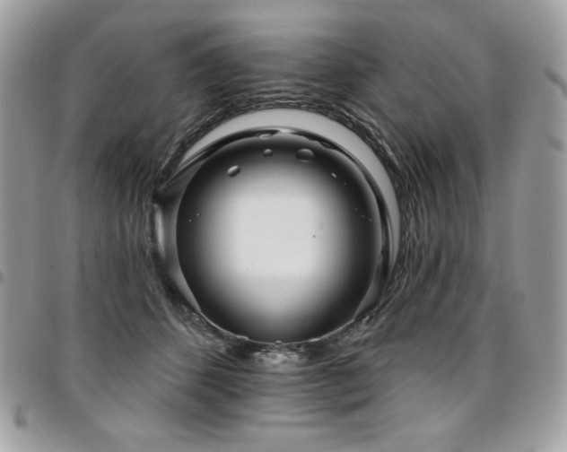 X0000095130512200712071311