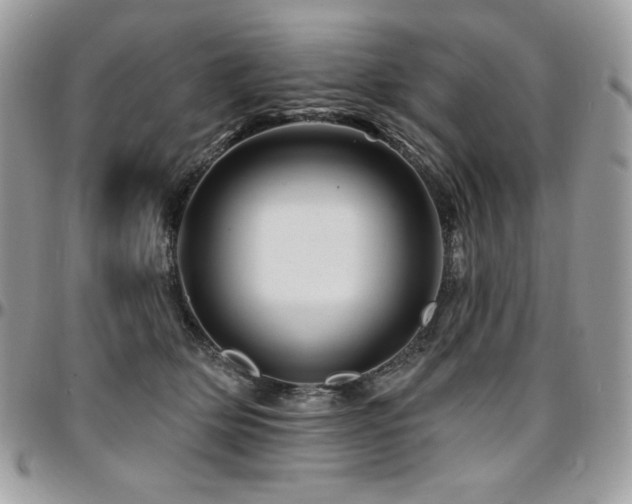 X0000095130514200712071311