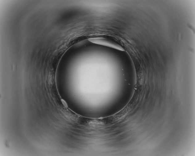 X0000095130515200712071311