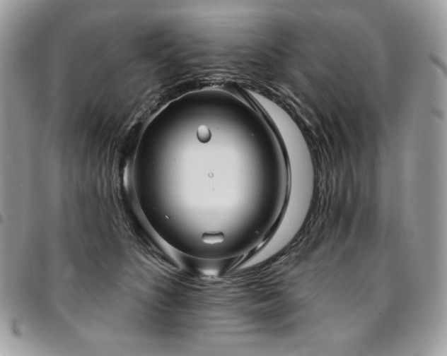 X0000095130516200712071311