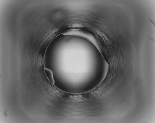 X0000095130517200712071311