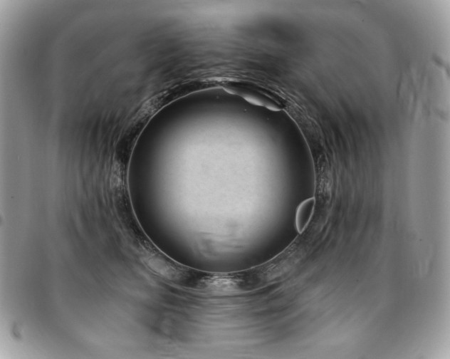 X0000095130518200712071311