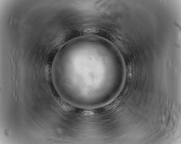 X0000095130519200712071311