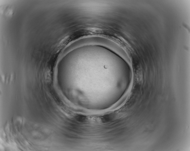 X0000095130520200712071311