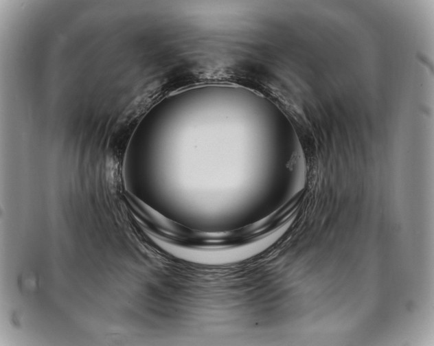 X0000095130521200712071311