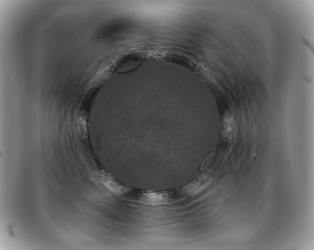 X0000095130522200712071311