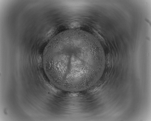 X0000095130523200712071311