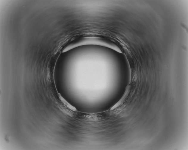 X0000095130524200712071311