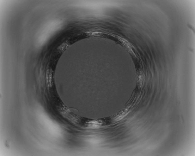 X0000095130525200712071311