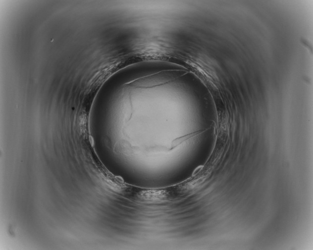 X0000095130526200712071311