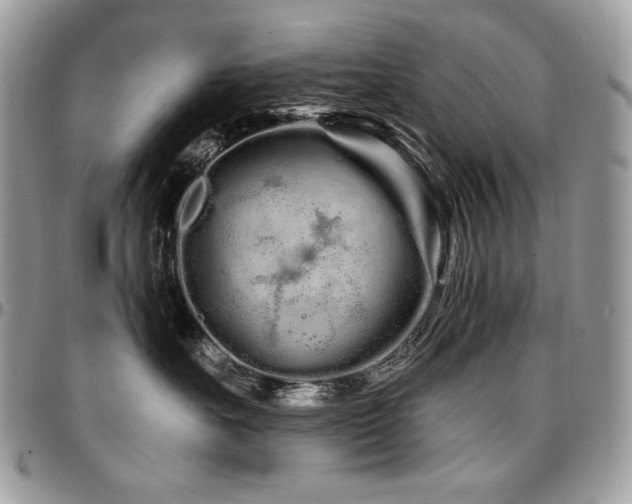 X0000095130527200712071311