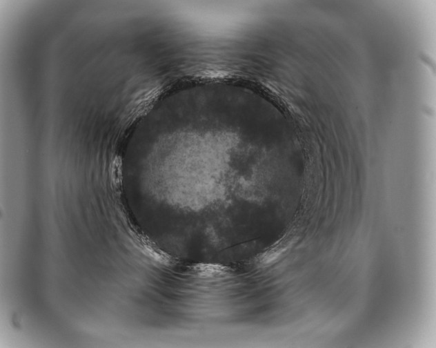 X0000095130528200712071311