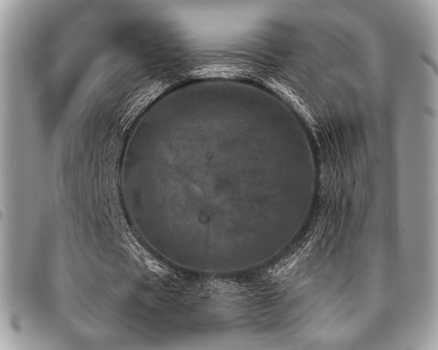 X0000095130529200712071310