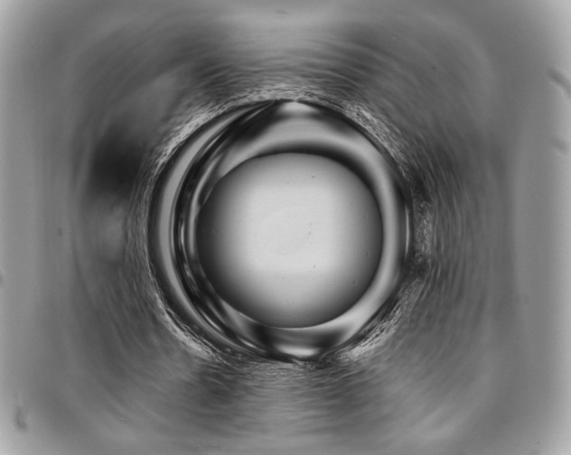 X0000095130530200712071310