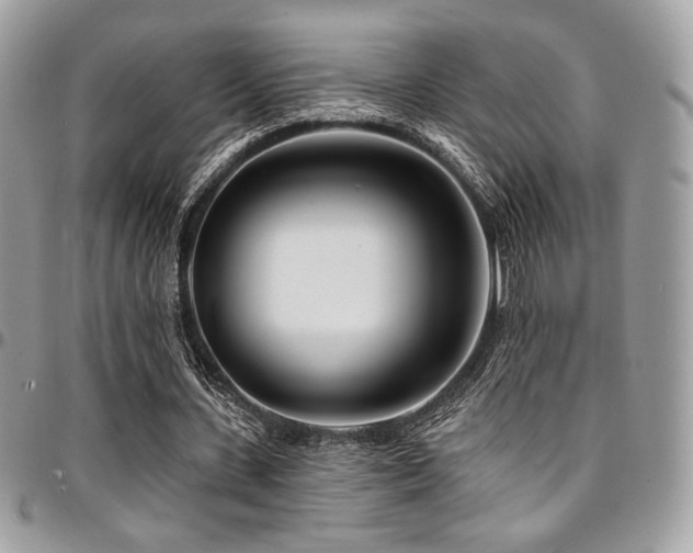 X0000095130531200712071310