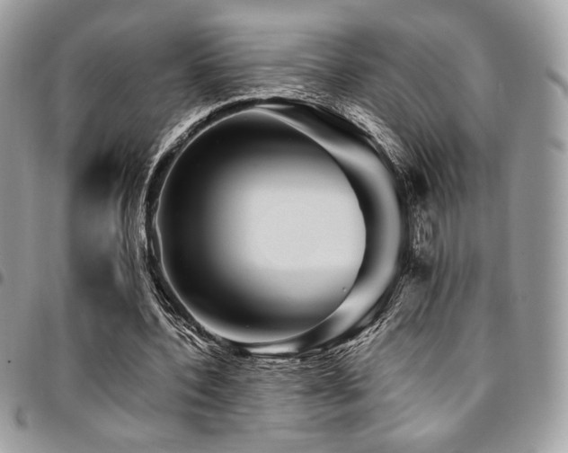 X0000095130532200712071310