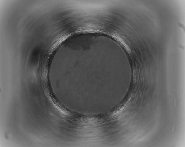 X0000095130533200712071310