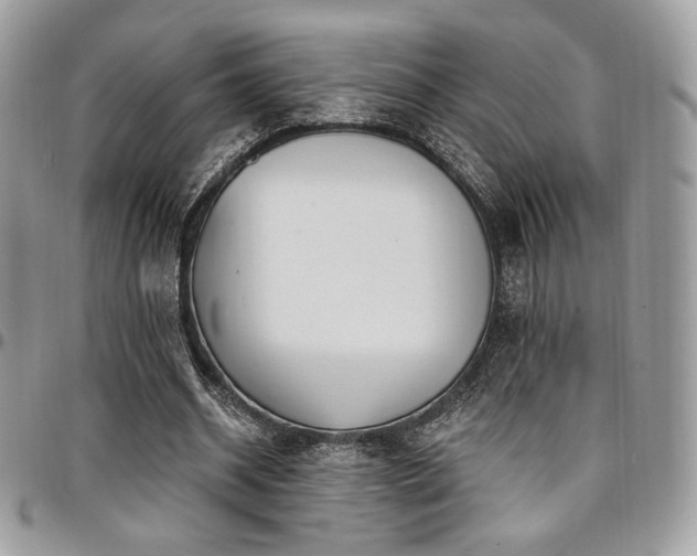 X0000095130534200712071310