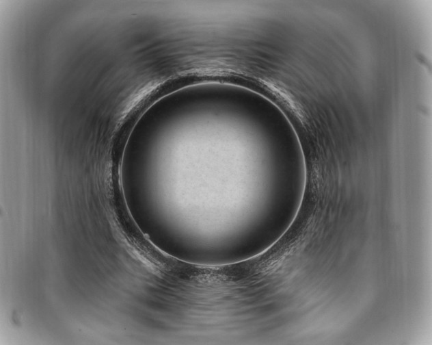 X0000095130535200712071310