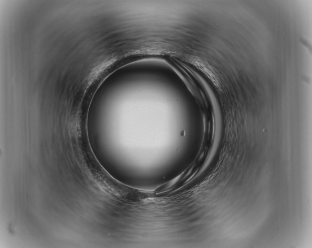 X0000095130536200712071310