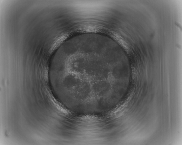 X0000095130537200712071310