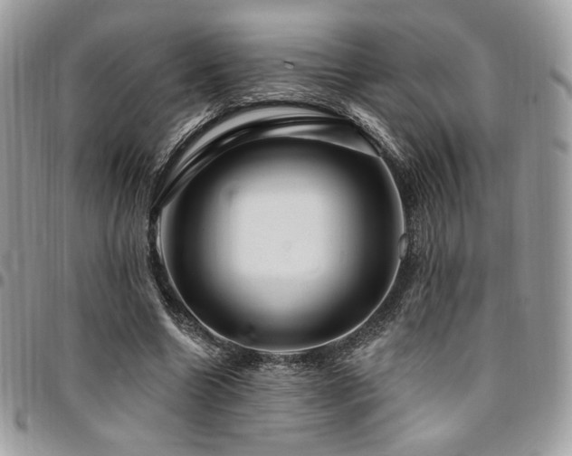 X0000095130538200712071310